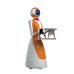 LeLe Service Robot